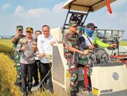 Panen Raya Serentak di 14 Provinsi Bersama Presiden RI melalui Zoom Meeting di Gresik