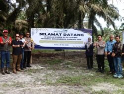 Polres Kotim Gelar Panen Raya Jagung di PT. Mustika Sembuluh Dukung Ketahanan Pangan Nasional