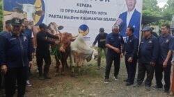 Jelang Idul Adha, DPW Partai NasDem Serahkan 601 Hewan Kurban Ke DPD Se-Kalsel 