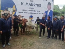 Jelang Idul Adha, DPW Partai NasDem Serahkan 601 Hewan Kurban Ke DPD Se-Kalsel 