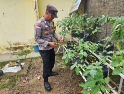 Dukung Asta Cita Presiden RI, Polsek Sagulung berdayakan Pekarangan untuk Budidaya Tanaman Pangan 