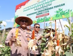 Kolaborasi Polres dan Petani Banjarbaru Berbuah Manis, 16 Ton Jagung Dipanen