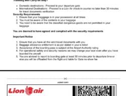 Delay lebih dari 120 menit, Penumpang Lion Air Tujuan Bengkulu hanya diberi Snack