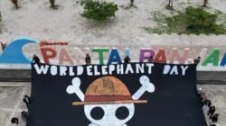 Status Perlindungan Palsu Gajah Sumatera Di Bentang Alam Sebelat