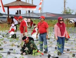 Peringati Hari Jadi Kalsel dan HUT RI, Dinas Pertanian Gelar Tanam Cabai Serentak di Banjarbaru