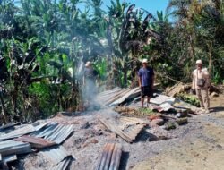 Pondok Petani di Pino Raya Dibakar, Dugaan Kuat Aksi Teror oleh PT. ABS