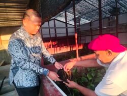 Dukung Inovasi Budidaya Belut, Kepala BNNK Banjarbaru: Dorong Kesejahteraan Masyarakat