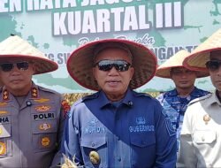 Gubernur Kalsel H. Muhidin Apresiasi Keberhasilan Panen Raya, Produksi Jagung Kalsel Terus Naik, Target 6–9 Ton per Hektare