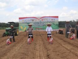 Polres Balangan Gelar Penanaman Jagung Serentak Kuartal IV, Dukung Swasembada Pangan Nasional
