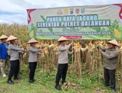 Polres Balangan Gelar Panen Raya Jagung Serentak Dukung Ketahanan Pangan Nasional