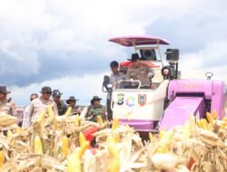 Polda Kalsel Gelar Panen Raya Jagung Serentak, Kapolda: Wujud Nyata Ketahanan Pangan