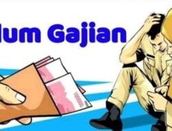 Janji Tinggal Janji, Bidan PTT Seluma Tertunggak Gaji Selama 7 Bulan