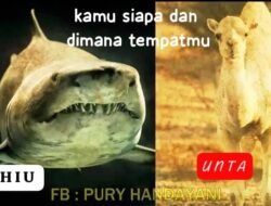 Fakta Kocak, Hiu Tidak Pernah Tahu Bahwa Unta Itu Ada, Ini Jadi Pelajaran Hidup