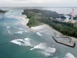 Kanopi Hijau Indonesia : Listrik Bengkulu aman tanpa PLTU batubara Teluk Sepang