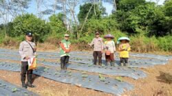 Polres Banjarbaru Dorong Ketahanan Pangan Lewat Program Tanam Jagung,  Bentuk Nyata Kehadiran Polri