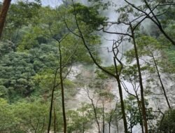 WALHI; Rencana Pembangkit Listrik Panas Bumi di Kepahiang Ancaman Serius Bagi Jantung Bukit Barisan