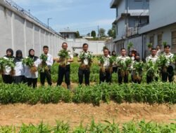 Panen 150 Kg Kangkung, Lapas Batam Wujudkan Ketahanan Pangan dan Dukung Asta Cita Presiden