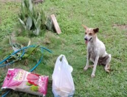 Warga korban SUTT PLTU batubara buang sembako dari PT TLB