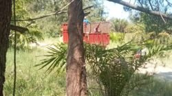 BKSDA Diduga Tutup Mata terhadap Kerusakan TWA Pantai Panjang