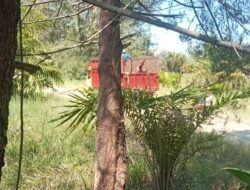 BKSDA Diduga Tutup Mata terhadap Kerusakan TWA Pantai Panjang