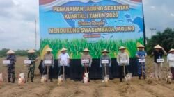 Kapolda Kalsel Pimpin Tanam Jagung Serentak di Tanah Laut, Targetkan Produksi Meningkat