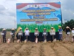 Kapolda Kalsel Pimpin Tanam Jagung Serentak di Tanah Laut, Targetkan Produksi Meningkat