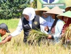 Ketahanan Pangan, Gubernur Khofifah: Instruksikan Kepala Daerah Jatim Menjaga Produksi Pertanian