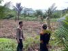 Dukung Program Asta Cita Presiden Polsek Awayan Ikut Serta Penanaman Jagung Pipil