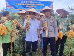 Kapolres Balangan Bersama Forkopimda Hadiri Panen Raya Jagung Serentak Kuartal II di Halong