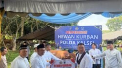 Sinergi Polda Kalsel dan IMM Menguat di Idul Adha, Hewan Kurban Disalurkan untuk Masyarakat