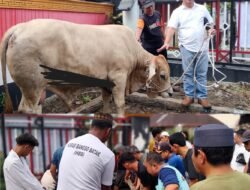 Wujud Syukur, Ormas HBB Gelar Baksos dan Penyembelihan Hewan Kurban 