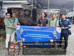 Perumda Air Minum Surya Sembada Surabaya Salurkan 13 Ekor Sapi Qurban pada Idul Adha 1447 H
