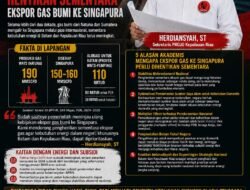Gas Natuna Mengalir ke Singapura, Batam Baru Kebagian? Projo Kepri Desak Pemerintah Hentikan Sementara Ekspor Gas Bumi