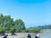 Anggota Muda GPA Gendong Adventure Tanam 100 Bibit Mangrove di Pesisir Bengkulu