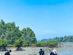 Anggota Muda GPA Gendong Adventure Tanam 100 Bibit Mangrove di Pesisir Bengkulu