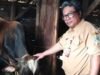 Pakde Henggar Meneladani Sejarah Nabi Ibrahim AS dengan Berkurban Sapi di Masjid Tanbihul Ghafilin