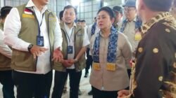 Tinjau Stok Beras di Kalsel, Ketua Komisi IV DPR RI Apresiasi Kinerja Bulog dan Dorong Revitalisasi Gudang