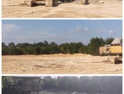 Kerusakan Kawasan Bakau Akibat Penimbunan, Warga Sei Pelungut Batam Minta APH Bertindak Tegas