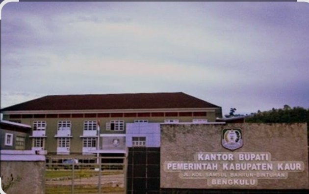 Pemda Kabupaten Kaur