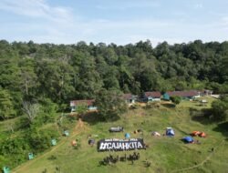 Gajah Sumatera Terancam Punah Lokal, Saatnya Rakyat Bengkulu Bergerak