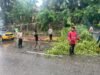 Respons Cepat Sat Samapta Polresta Barelang Tangani Pohon Tumbang Akibat Cuaca