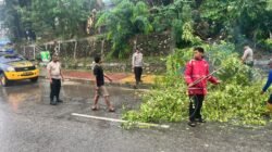Respons Cepat Sat Samapta Polresta Barelang Tangani Pohon Tumbang Akibat Cuaca