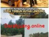PT Putra Gautama Jaya Diduga Lakukan Penimbunan Bakau Di Pesisir Batam