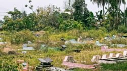 TPU di Pusat Kota Tanjung Kemuning Terlantar Jadi Sorotan: Harapan Bersih dan Terawat Segera Terealisasi