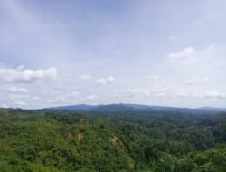 Landasan Helipad Segera Dibangun? Ketua Komisi III DPRD Seluma Minta PT ESDMu Dipanggil. Tanda Tambang Emas Segera Buka? 