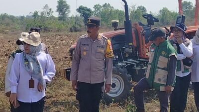 Dorong Ketahanan Pangan, Polsek Banjarbaru Utara Persiapkan 44 Hektare Lahan Jagung