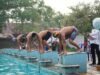 Prima Jaya Swimming Club Bersinar di TIBRA Championship II, 14 Atlet Bawa Pulang 16 Medali