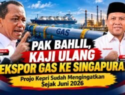 Listrik Batam–Bintan Padam, Ekspor Gas ke Singapura Harus Dikaji Ulang : Projo Kepri Sudah Mengingatkan Sejak Juni