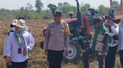 Dorong Ketahanan Pangan, Polsek Banjarbaru Utara Persiapkan 44 Hektare Lahan Jagung